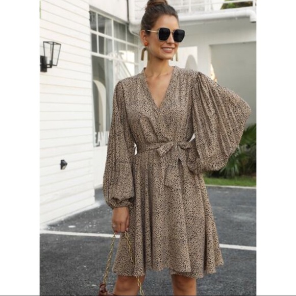 Leopard Print Front Belted Dress - Picture 2 of 5